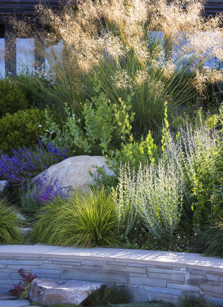 Sneak Peek: Garden Design Magazine's Wild Gardens - Gardenista -   19 garden design Flower grass ideas