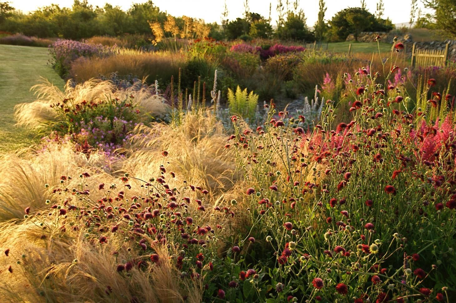 Piet Oudolf's advice on garden design and creating inspirational outside spaces -   19 garden design Flower grass ideas