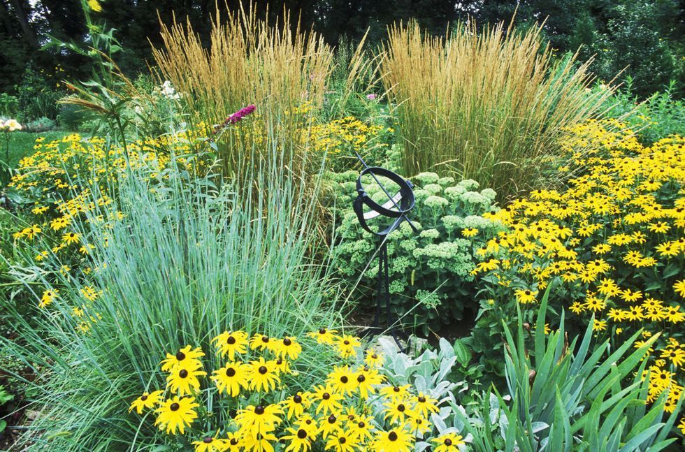 These are the best ornamental grasses for your garden -   19 garden design Flower grass ideas