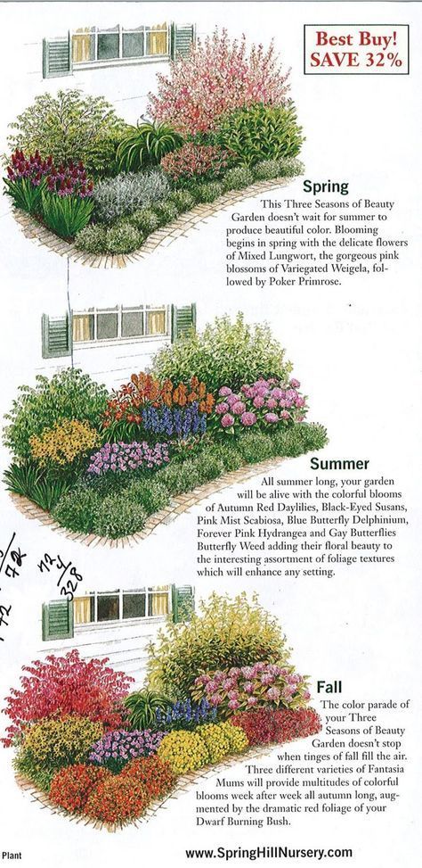 GARDENING: Garden plan a week, Week 2, Three Seasons of Beauty -   19 garden design Flower grass ideas