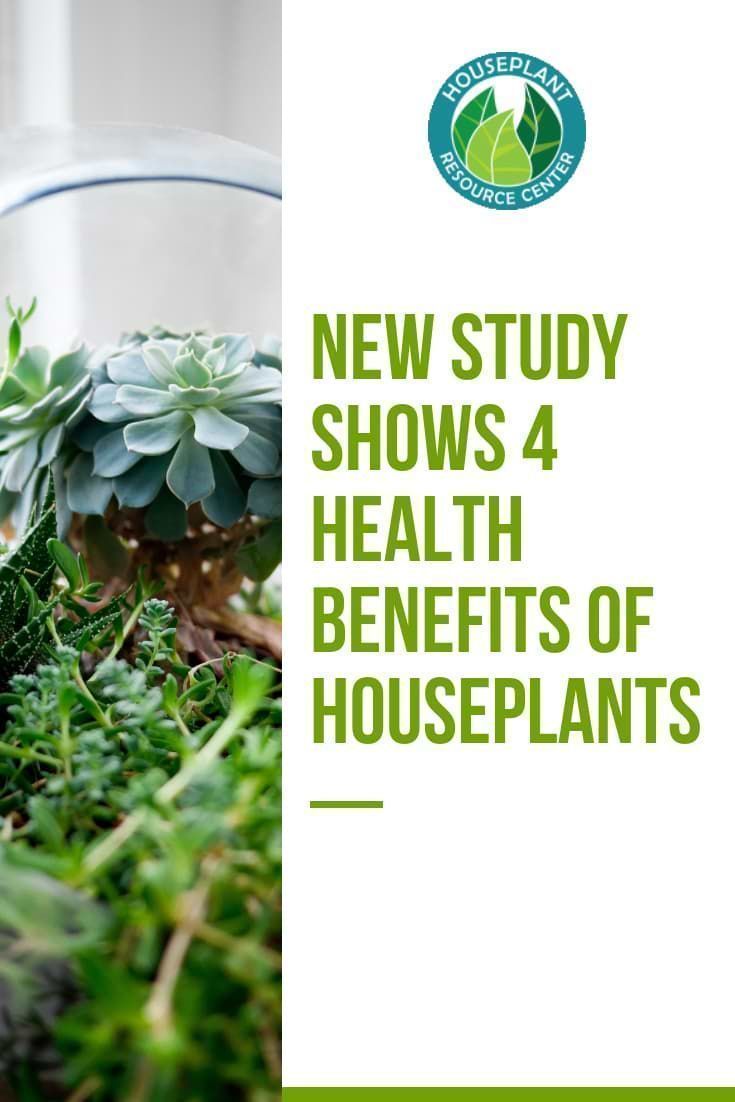 New Study Shows 4 Health Benefits of Houseplants - Houseplant Resource Center -   19 garden design Inspiration houseplant ideas