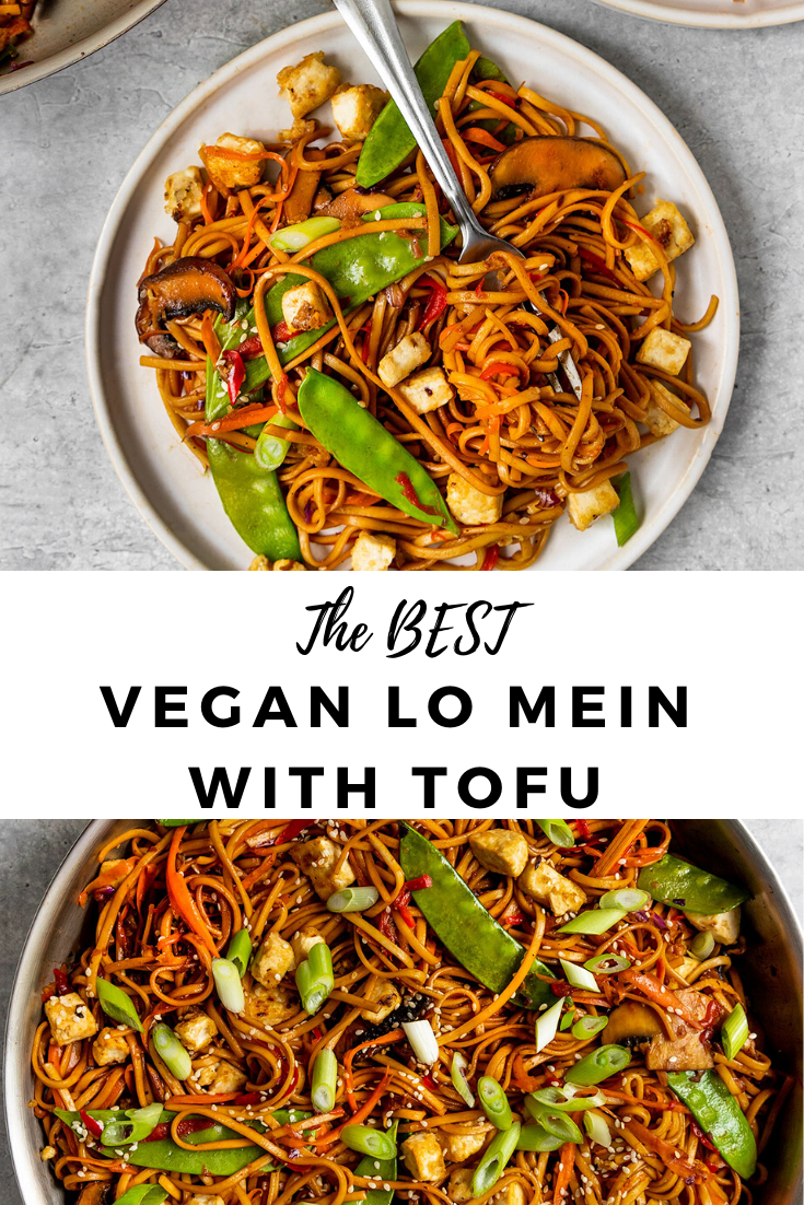 Vegan Vegetable Lo Mein with Tofu | Short Girl. Tall Order -   19 healthy recipes Pasta stir fry ideas