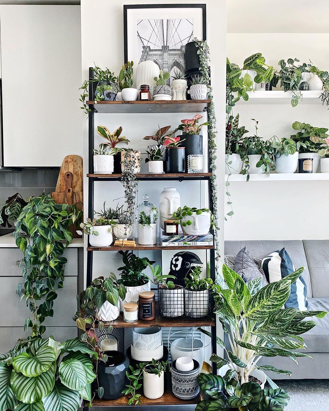 vertical garden wall shelf indoor living room -   19 plants Indoor shelves ideas