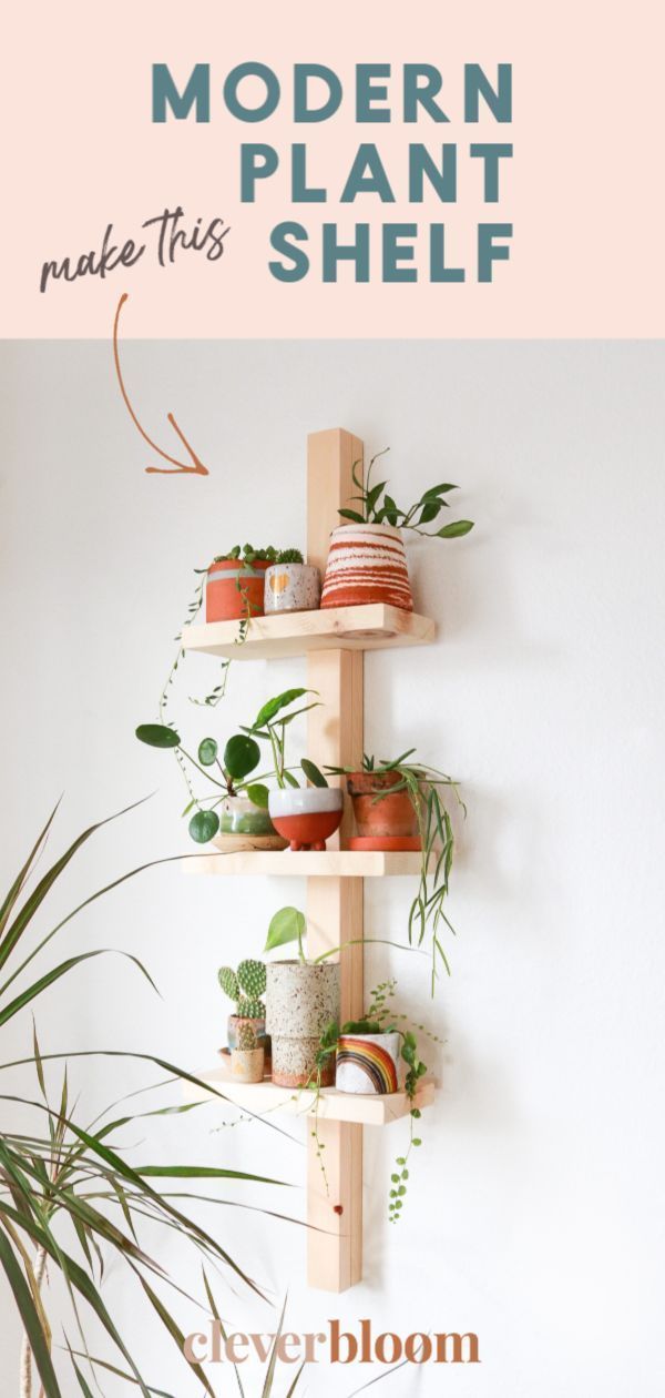 Easy Modern Plant Shelf DIY to Display Plants -   19 plants Indoor shelves ideas