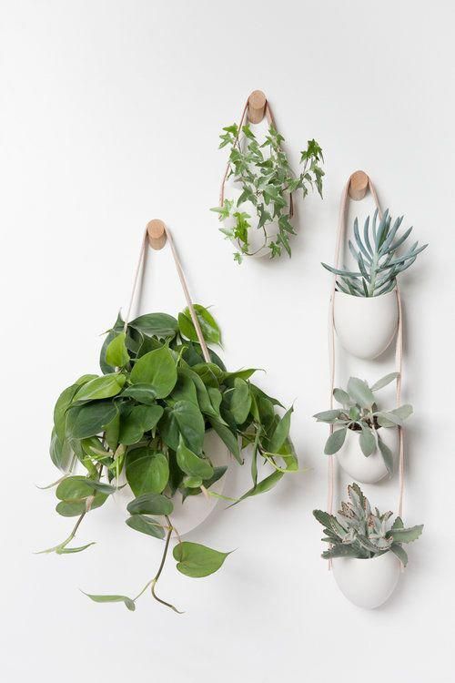 Spora — Light + Ladder -   19 plants Indoor shelves ideas