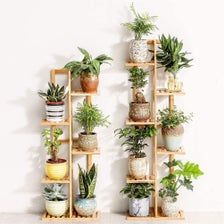 Plant Stand for Kitchen | Outdoor Indoor Bamboo 6 Tier 7 Potted Plant Stand Rack perfect for Multiple Flower Pots Succulents Decor -   19 plants Indoor shelves ideas