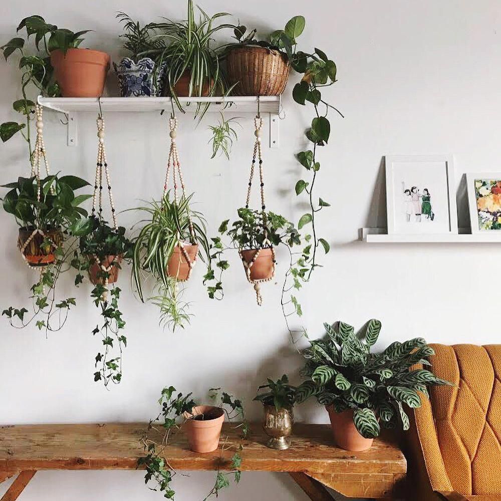 18 Inspiring Indoor Gardens For Anyone Who Doesn't Have A Backyard -   19 plants Indoor shelves ideas