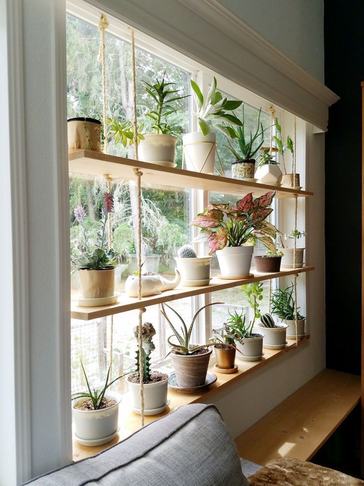 Hanging Plant Shelves -   19 plants Indoor shelves ideas
