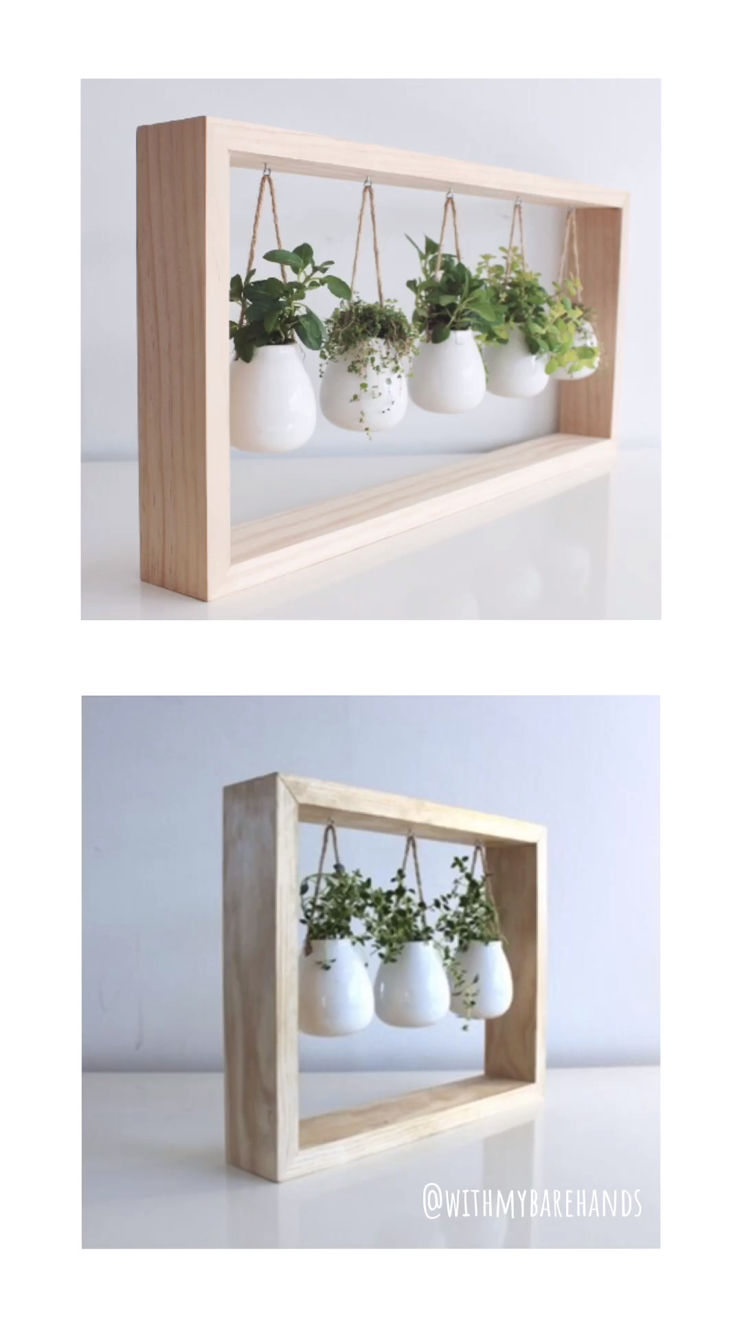 A Gift For The Greenthumb -   19 plants Indoor shelves ideas