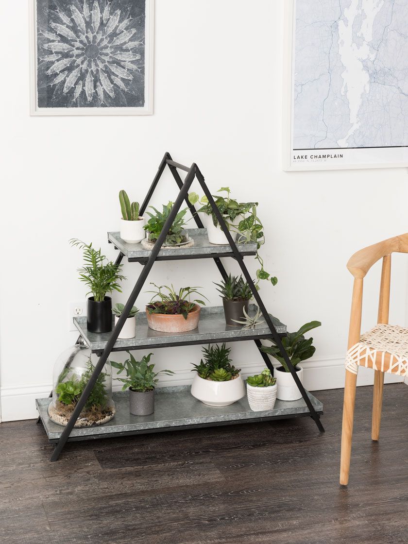 Deluxe A-Frame Plant Stand with Trays | Gardener's Supply -   19 plants Indoor shelves ideas