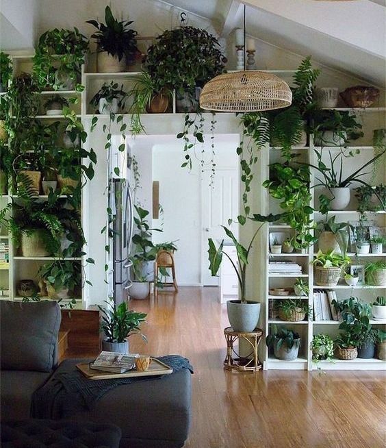Nature's art -   19 plants Indoor shelves ideas