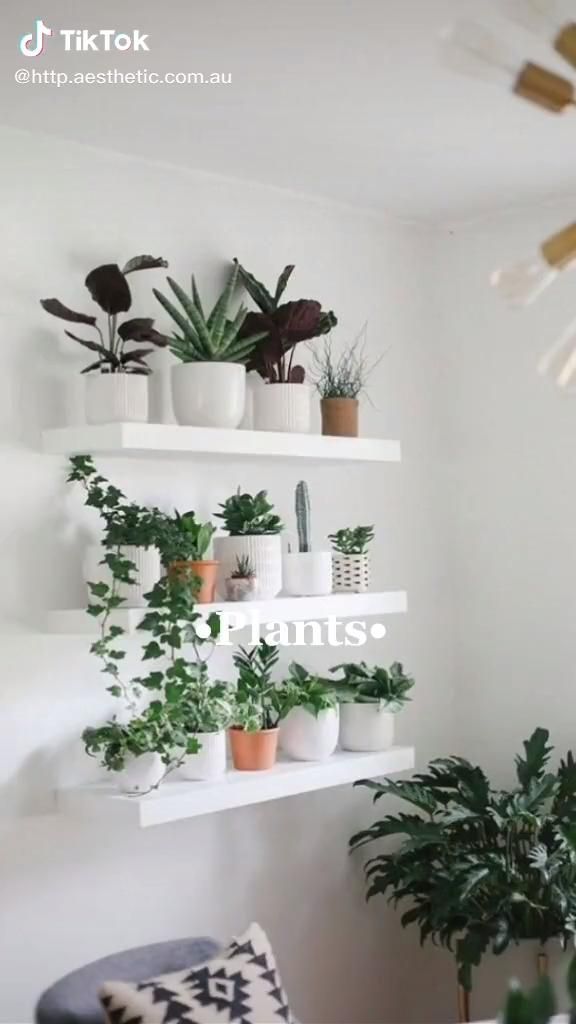 what u need in your aesthetic room! -   19 plants Indoor shelves ideas