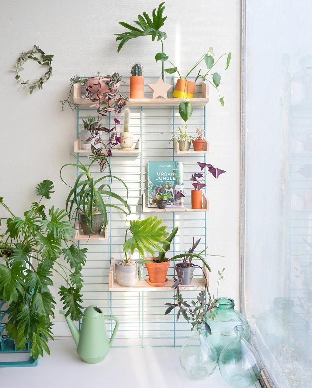 Fency Rack, 80x120 in Green -   19 plants Indoor shelves ideas