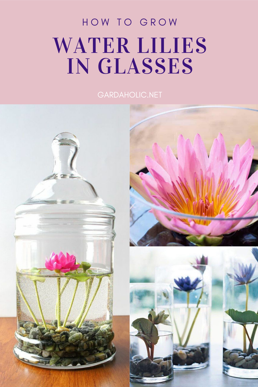 How To Grow Water Lilies In Glasses -   19 water planting Interior ideas