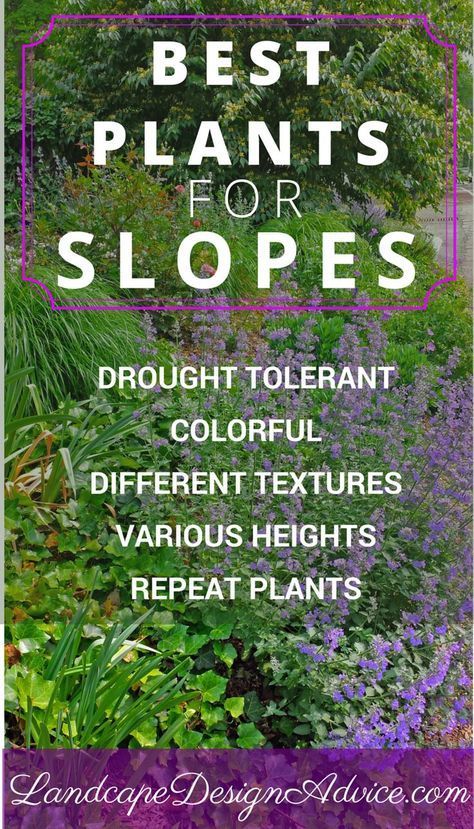 Landscaping Steep Slopes | Hillside Landscapes -   21 garden design Wall backyard ideas
