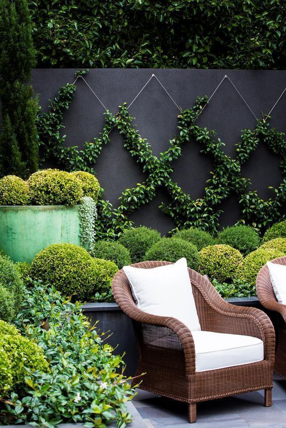 Use rope lighting to line your garden. -   21 garden design Wall backyard ideas