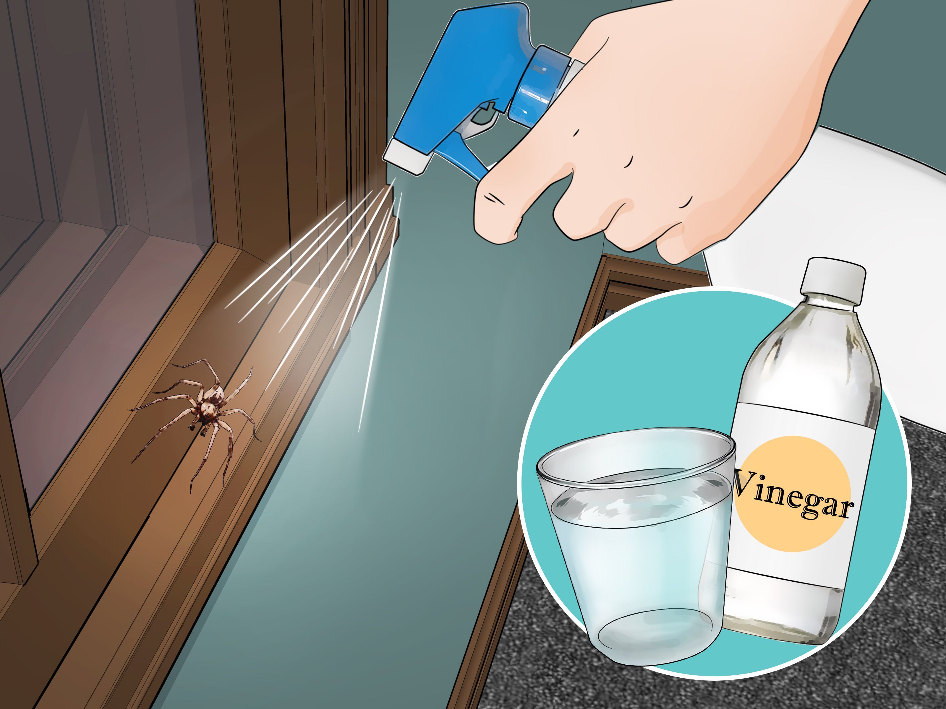 How to Get Rid of Spiders in the House -   19 how to get rid of spiders in the house ideas