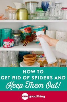 This Natural Spider Repellent Spray Gets Rid Of Spiders Fast! • One Good Thing by Jillee -   19 how to get rid of spiders in the house ideas