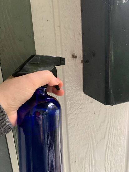 DIY Spider Repellent -   19 how to get rid of spiders in the house ideas