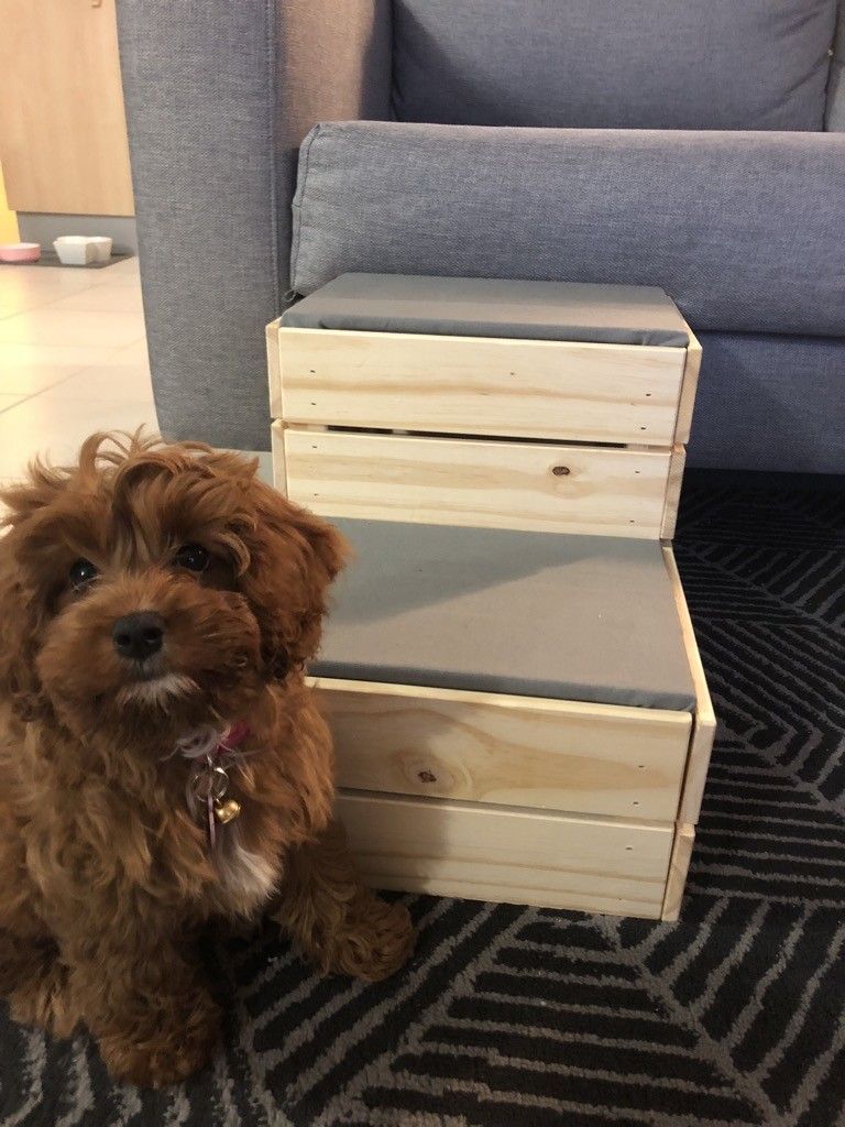 Small dog? DIY these dog steps from IKEA crates - IKEA Hackers -   diy Dog stairs