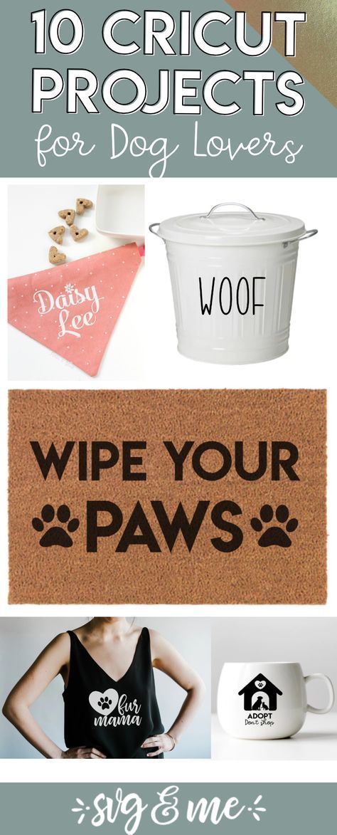 10 Adorable Cricut Projects Every Dog Lover Will Want to Copy - SVG & Me -   diy Projects tumblr