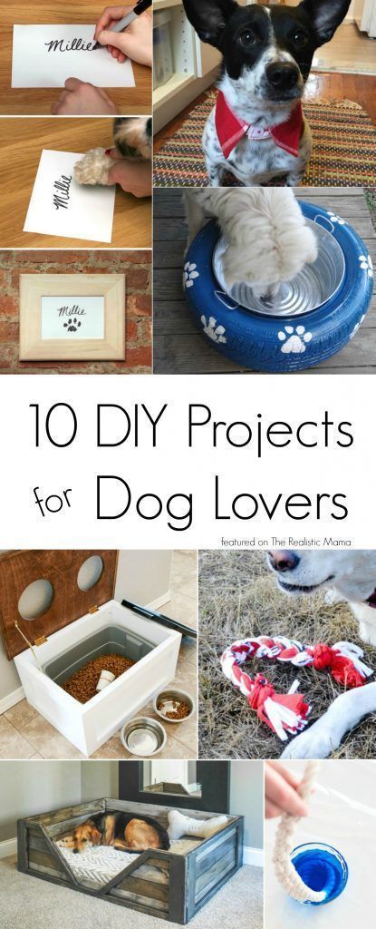 10 DIY Projects for Dog Lovers - The Realistic Mama -   dog diy Projects