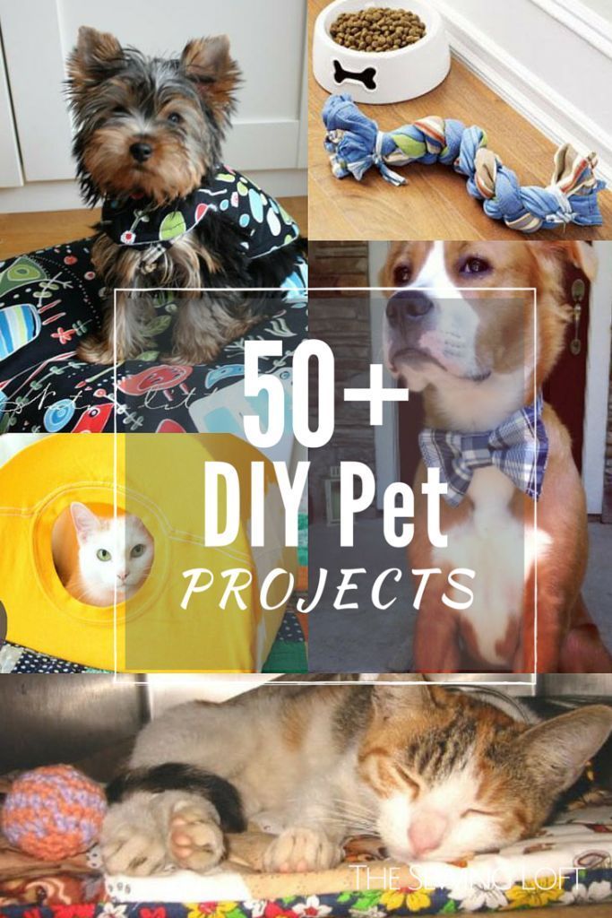 50+ DIY Pet Projects - The Sewing Loft -   dog diy Projects