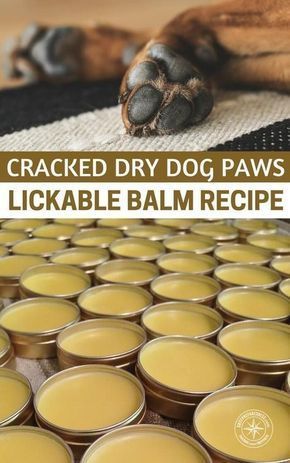 DIY Dog Paw Balm Soothing Recipe | SHTFPreparedness -   dog diy Projects