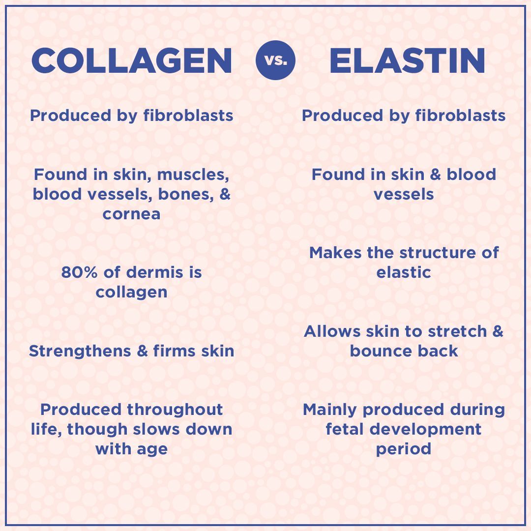 Collagen vs. Elastin -   13 beauty Therapy advertising ideas