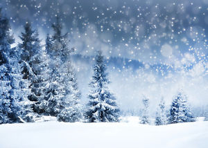 Details about 10x8FT Vinyl Photo Background Studio Backdrop Winter Landscape Snowy Trees Scene -   15 beauty Background landscape ideas