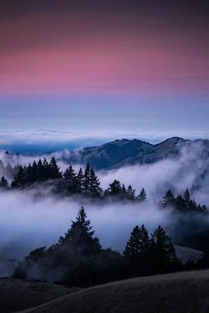 'Gateway To Heaven, Beautiful Sunset and Fog at Mount Tamalpais, California' Photographic Print - Vi -   15 beauty Background landscape ideas