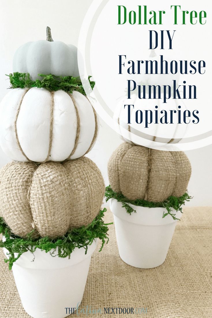 DIY Farmhouse Pumpkin Topiaries - The Latina Next Door -   21 diy Dollar Tree crafts ideas