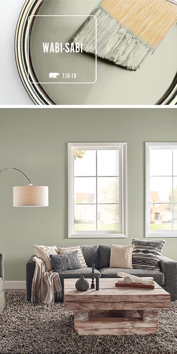 17 sage green living room walls ideas