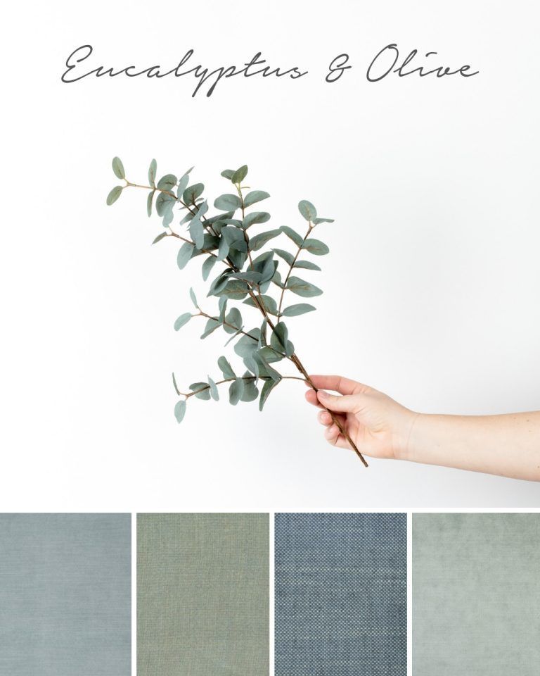 Bedroom Upholstery Colour Trend: Olive and Eucalyptus - Heatherly Design -   18 sage green bedroom colour palettes ideas