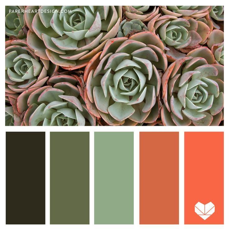 Color Palette 002 - Living Coral — Paper Heart Design -   18 sage green bedroom colour palettes ideas