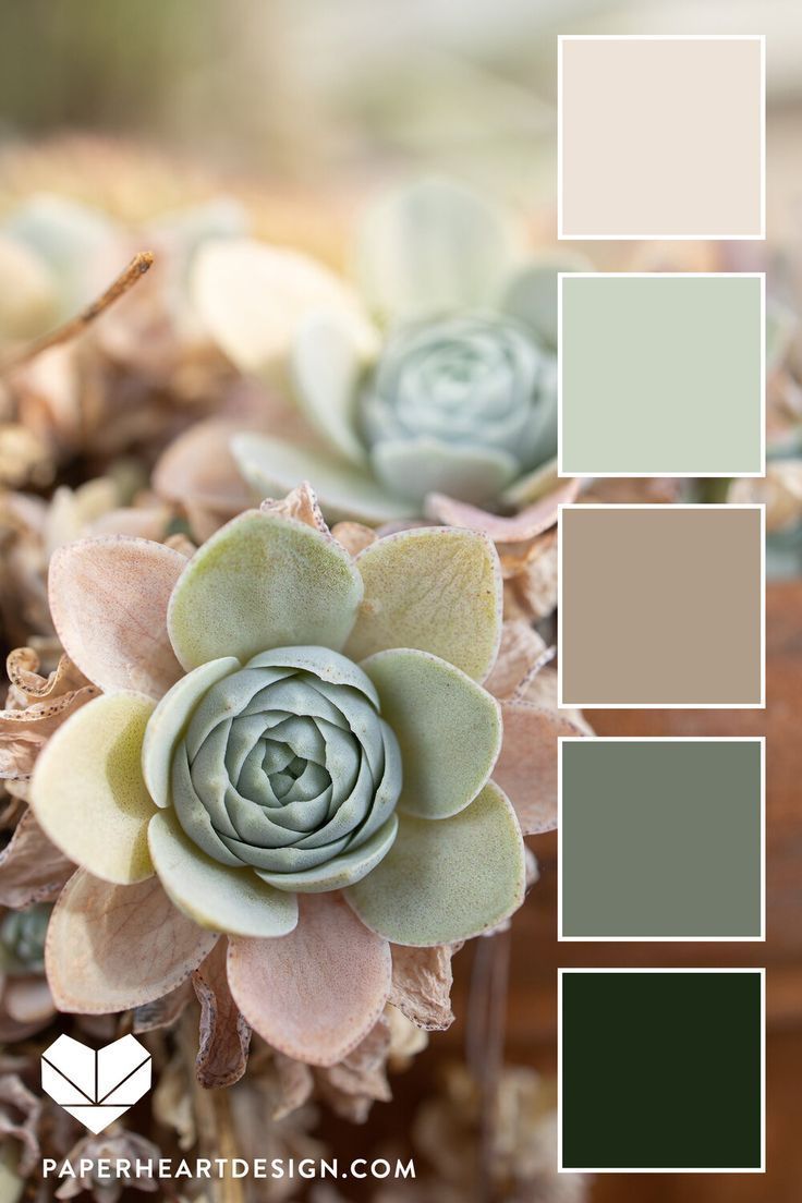 Succulent Inspired Color Palette - Green, pink, purple color scheme -   18 sage green bedroom colour palettes ideas