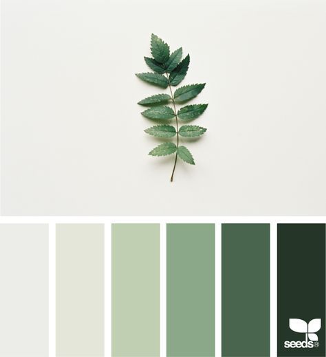 Nature Tones -   18 sage green bedroom colour palettes ideas