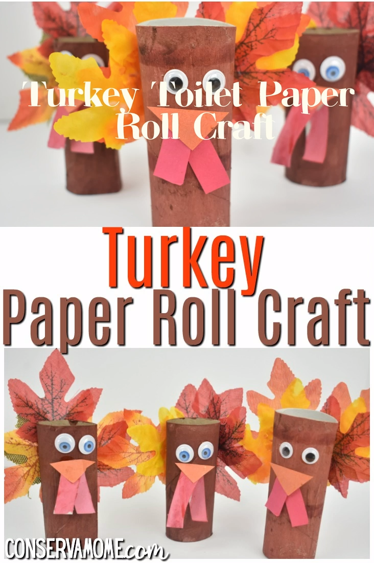 Turkey Paper Roll Craft -   18 thanksgiving crafts for kids toddlers ideas