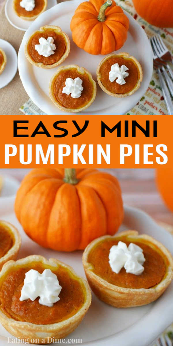 Mini Pumpkin Pies Recipe - mini pumpkin pie bites -   18 thanksgiving desserts pie minis ideas