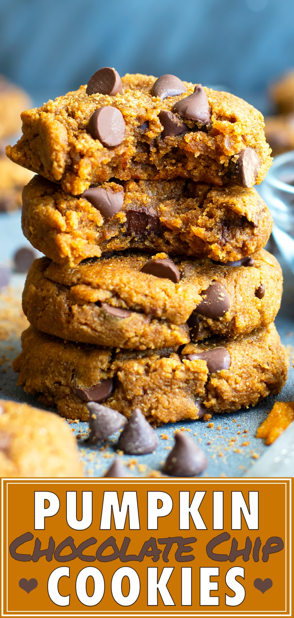 Healthy Pumpkin Chocolate Chip Cookies | Gluten-Free + Vegan -   18 thanksgiving recipes dessert chocolate ideas