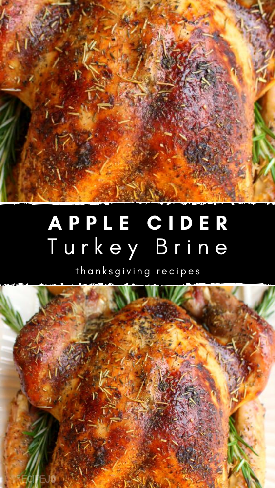 Apple Cider Turkey Brine -   19 thanksgiving recipes turkey easy ideas