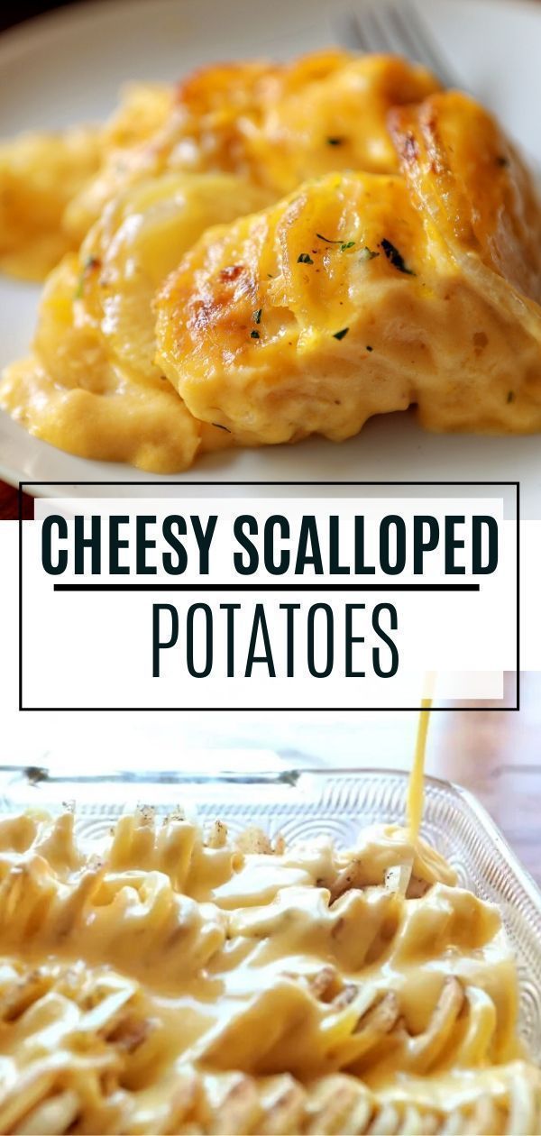 Cheesy Scalloped Potatoes Recipe -   19 thanksgiving side dishes crockpot ideas