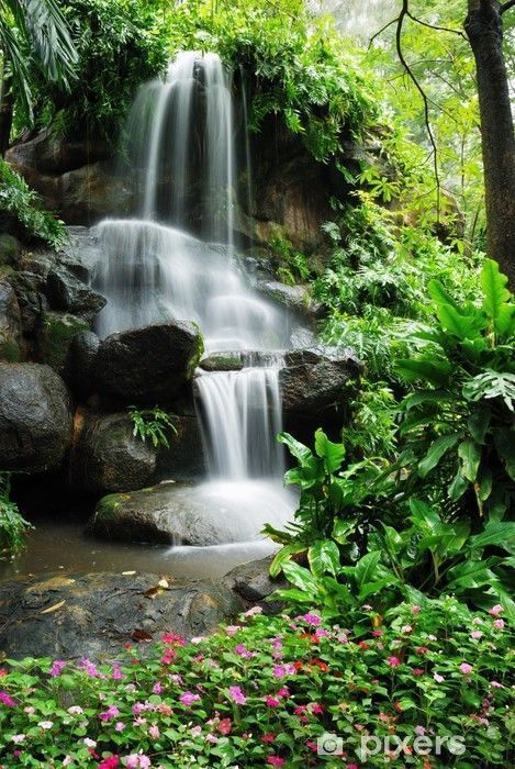 Beautiful waterfall in the garden Wall Mural • Pixers - We live to change -   20 beauty Natural landscape ideas