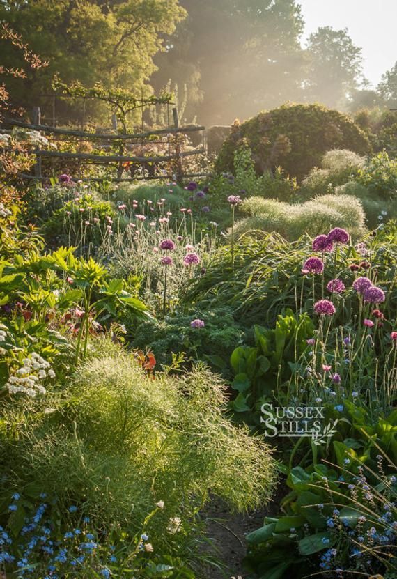 Through The Garden, IGPOTY beautiful gardens winner, Great Dixter Alliums and Fennel Photographic Pr -   20 beauty Natural landscape ideas