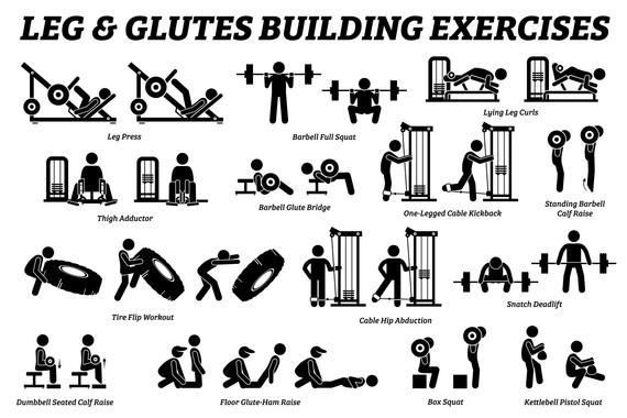 Legs Glutes Body Building Muscle Workout Exercise Fitness Gym Weight Training Train Gym Machine Squats Deadlift Download Icon PNG SVG Vector -   24 fitness Training squat ideas