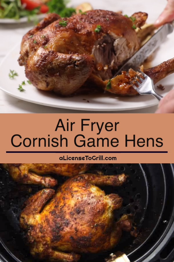 Air Fryer Cornish Game Hen -   18 air fryer recipes for turkey breast ideas