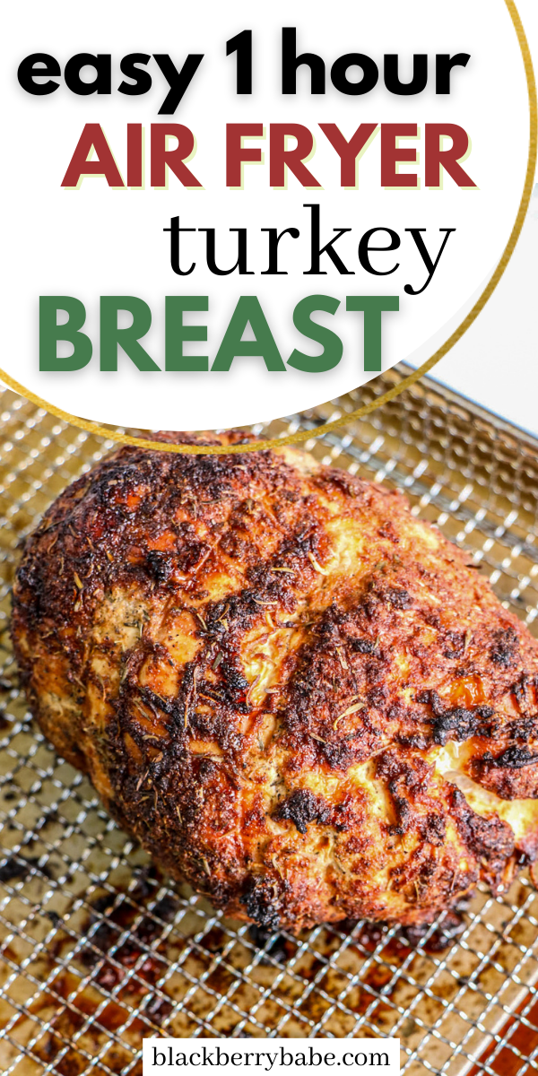 Easy 1 Hour Air Fryer Turkey Breast -   18 air fryer recipes for turkey breast ideas