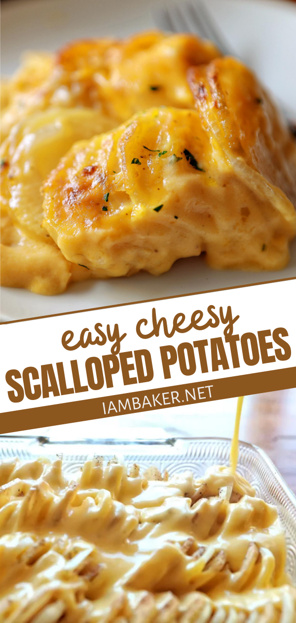 These Cheesy Scalloped Potatoes are perfection! -   19 easy sides for thanksgiving dinner ideas