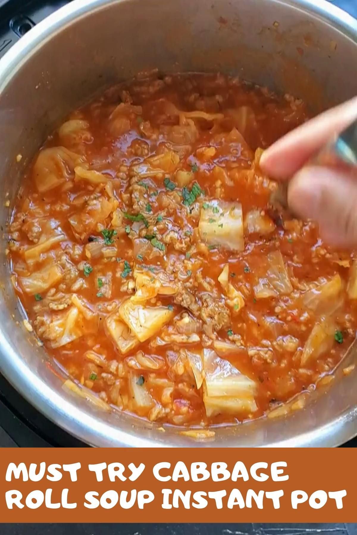 Cabbage Roll Soup | Foodies Terminal -   25 healthy instant pot recipes vegetarian videos ideas