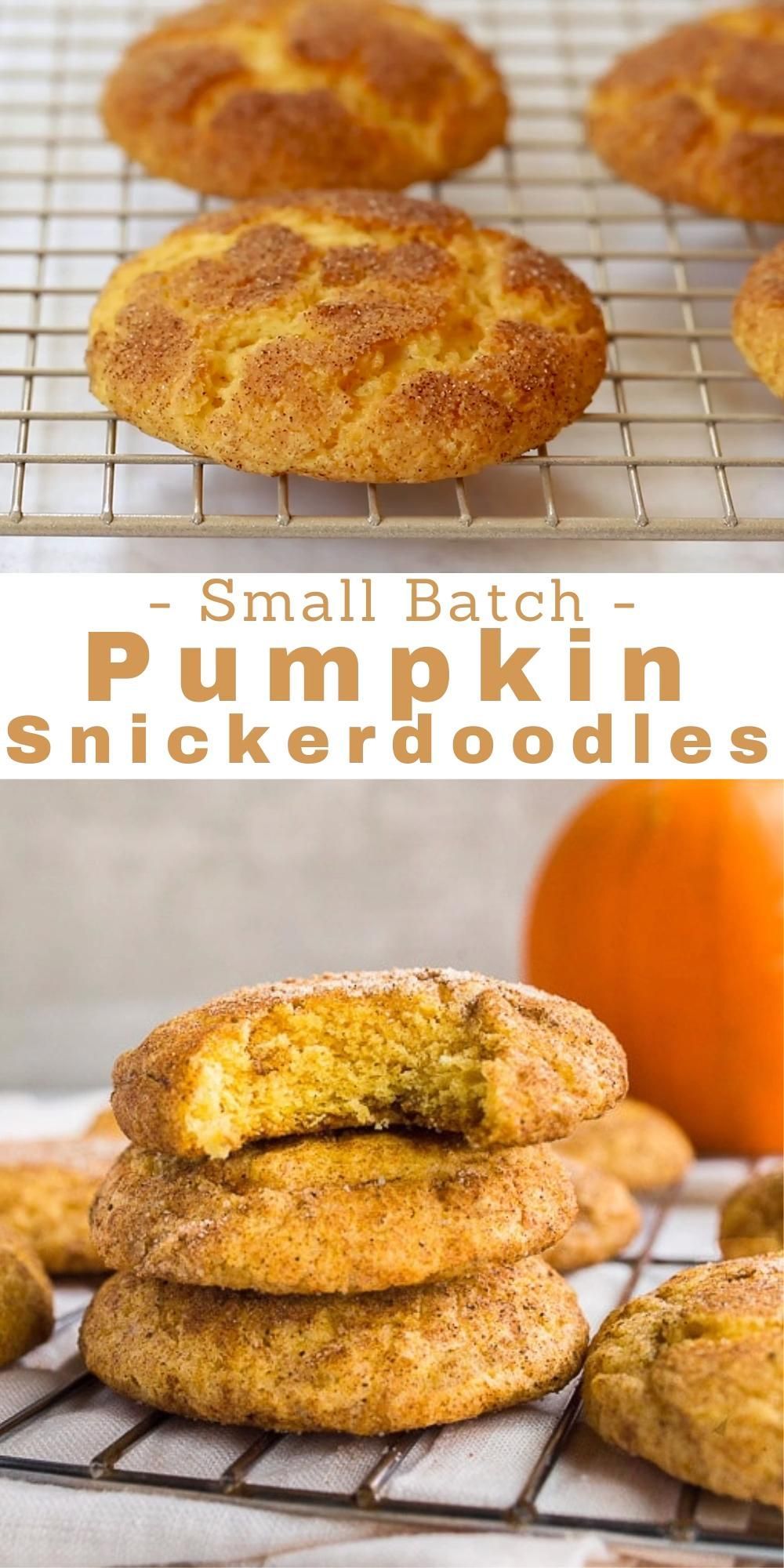 Pumpkin Snickerdoodles (small batch) - Dessert for Two -   25 pumpkin pie recipe with real pumpkin video ideas